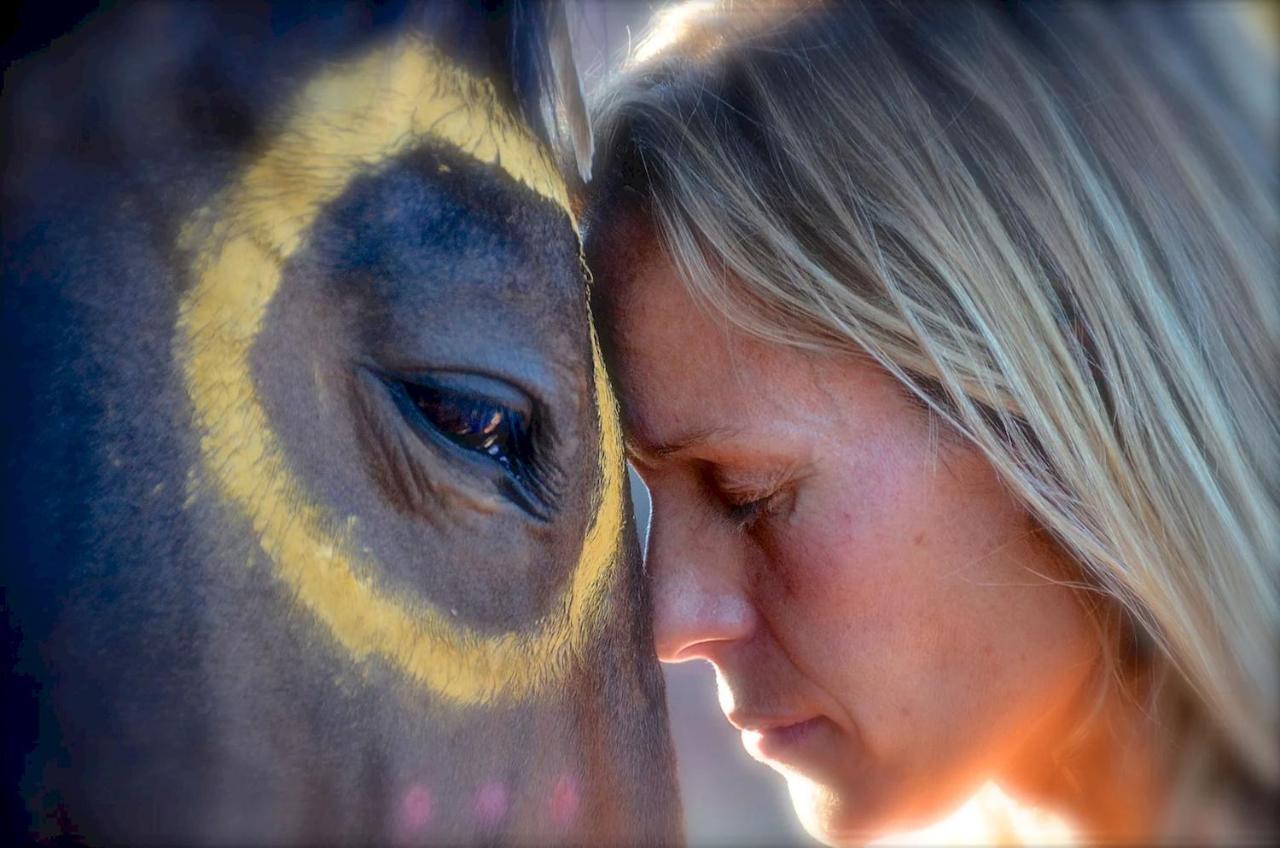 The Mountain Lion - Horses Sedona'S Most Loved Villa Luaran gambar