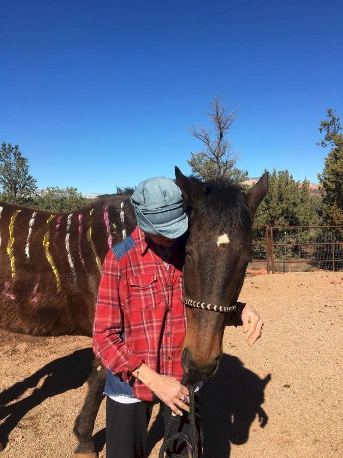 The Mountain Lion - Horses Sedona'S Most Loved Villa Luaran gambar