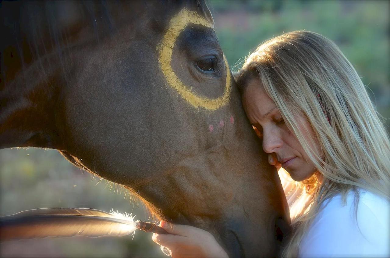 The Mountain Lion - Horses Sedona'S Most Loved Villa Luaran gambar